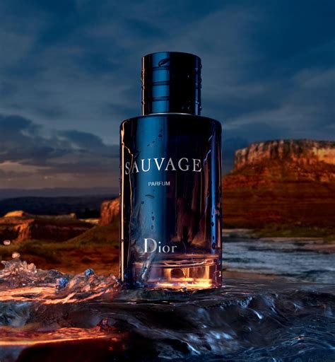 sauvage dior valor